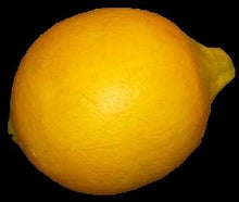 Zitrone - Frucht