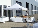 Partyzelt Pavillon 3x3m oder 6x3m weiß