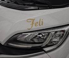 "Feli"- Traumhafter Urlaub für Zwei- und Vierbeiner - Bj. 2026 - inklusive Sat-TV/Fahrradträger/Campingzubehör/Küchenutensilien