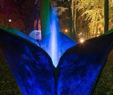 Springblume - Blume mit Springbrunnen