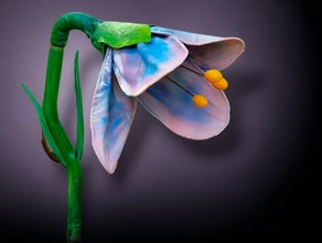 Glockenblume Riesenblume XXL