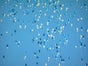 Ballonmassenstart - Galerie - Bild 4