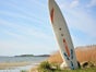 Surfbrett - Surfbretter - Galerie - Bild 2