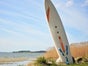 Surfbrett - Surfbretter - Galerie - Bild 2