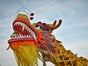 Chinesischer Drache - Tanzdrache - Galerie - Bild 2