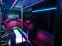 Pinker Partybus - JGA, Geburtstag, Hochzeit & Events - Galerie - Bild 2