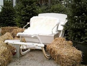 Pferdeschlitten, Schlitten, Weihnachten, Schnee, Rentier, Rentierschlitten, Weihnachtsmann