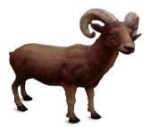 Widder Figur, Widder, Bock, Steinbock, Bergziege