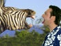Foto - Bluebox / Greenscreen - Galerie - Bild 2