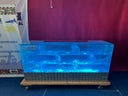 Eisbar aus  Acryl mit LED Beleuchtung mieten