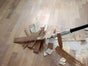 Vogt-Hammer VH 50 im Set: Ideal zum Zerschneiden von elastischem PU-Kleber unter Parkett und Laminat - Galerie - Bild 3