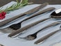 Edles Silberbesteck - 5 tlg. - de luxe - Hochzeiten - Mieten - bundesweiter Versand - Galerie - Bild 2