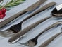 Edles Silberbesteck - 5 tlg. - de luxe - Hochzeiten - Mieten - bundesweiter Versand - Galerie - Bild 2