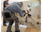 GRABO PRO-Lifter 20 Vakuum (5 Stück verfügbar) - Galerie - Bild 3