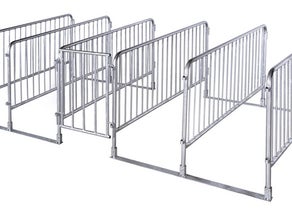Einlassschleuse / Eingangsschleuse / Einlassgate / Gate / Absperrgitter