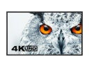 NEC MultiSync X981UHD-2 98'' UHD-Display 4K - anthrazit - Galerie - Bild 1