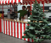 Tannenbaum | Weihnachtsbaum als Winterdeko mieten