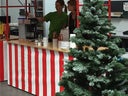 Tannenbaum | Weihnachtsbaum als Winterdeko mieten - Galerie - Bild 1