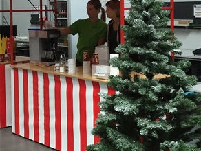 Tannenbaum | Weihnachtsbaum als Winterdeko mieten