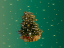 Geschmückter  Weihnachtsbaum (leben) bis 3,50m Hollywood style
