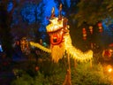 Chinesischer Drache - Tanzdrache