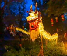 Chinesischer Drache - Tanzdrache
