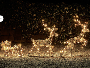 Rentiere mit Schlitten // Winterdeko // Weihnachtsdeko