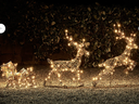 Rentiere mit Schlitten // Winterdeko // Weihnachtsdeko