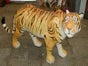 Zirkus Manege - Galerie - Bild 3