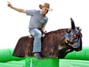 Bullriding | Rodeo | Western | Cowboy | Rodeobulle | Stier