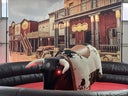 Bullriding Rodeo Bulle Stier mieten Attraktion Hüpfburg verleih FÜR GROß UND KLEIN