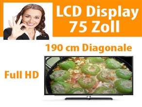 75" LCD Display Fernseher TV Monitor 1.920 x 1.080