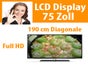 FERNSEHER MIETEN DRESDEN – TV-MONITOR VERLEIH & VERMIETUNG 43–75 ZOLL - Galerie - Bild 4