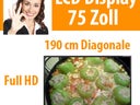 75" LCD Display Fernseher TV Monitor 1.920 x 1.080 - Galerie - Bild 1