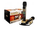 Karaokesystem mit 2 Funkmikrofonen
