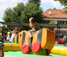 Rodeo Ente