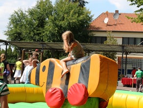 Rodeo Ente