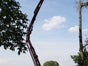 Gummiketten-Arbeitsbühne GoldLift 17.80 XL III S - Galerie - Bild 4