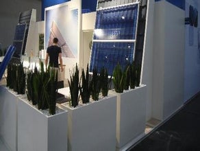Sansevieria in Dividerwall mit Kiesabdeckung