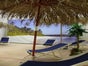 Strandschirm - Palmenschirm - Karibikschirm - Galerie - Bild 2