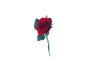 rote Rose 12er Set mieten – Miettisch, Eventtisch, Veranstaltungstisch, Partytisch, Tischzubehör - Galerie - Bild 2