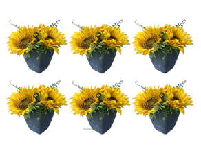 Sonnenblumen 6er Set