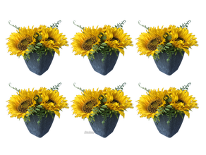 Sonnenblumen 6er Set