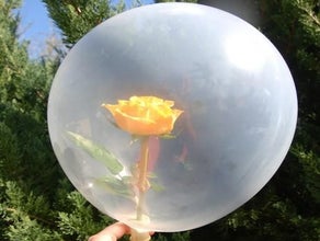 Rose im Ballon inkl.19%MwSt.
