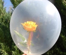 Rose im Ballon inkl.19%MwSt.