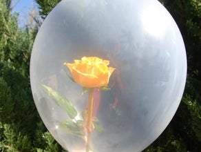 Rose im Ballon inkl.19%MwSt.