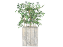 Pflanzenkübel - Galerie - Bild 1