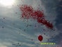 Ballonmassenstarts / Ballonregen - Galerie - Bild 3