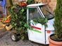 Dreirad APE. Marktwagen, Fahrzeug, Auto, Markt, Marktstand, Dreirad, Italien - Galerie - Bild 2