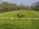 Dressurviereck 40x20 Meter mit Dressurbuchstaben